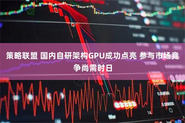 策略联盟 国内自研架构GPU成功点亮 参与市场竞争尚需时日